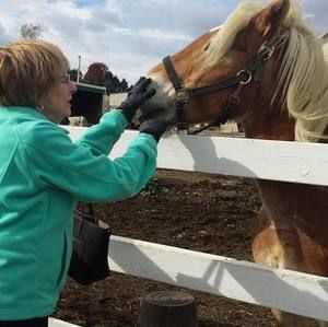 Meet your Posher, Shirley